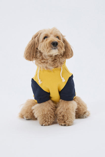 PET LONELY/LOVELY HOODIE YELLOW