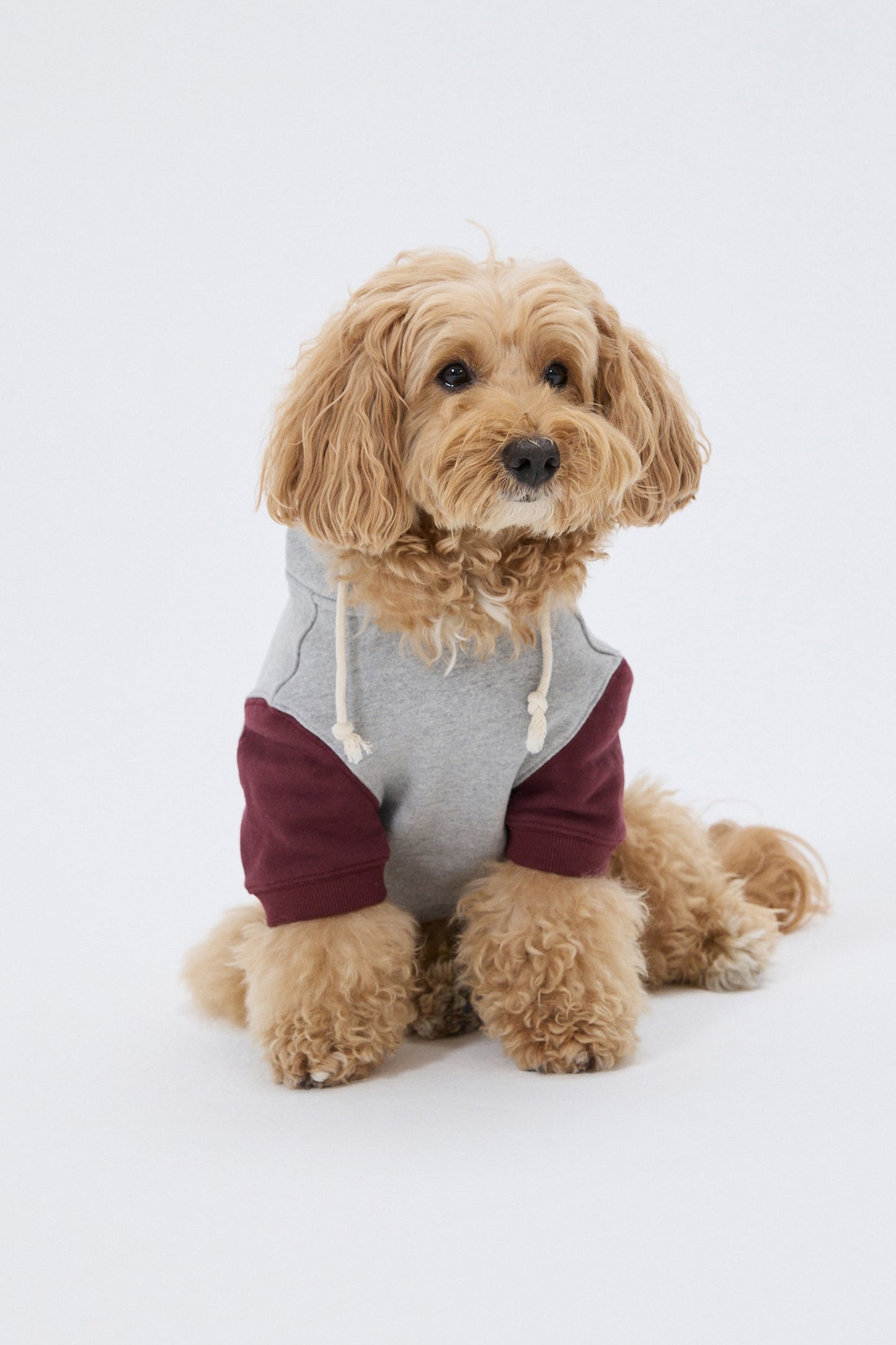 PET LONELY/LOVELY HOODIE GRAY