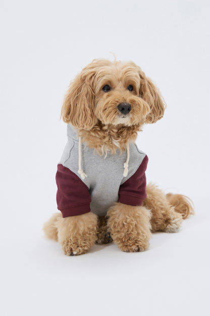 PET LONELY/LOVELY HOODIE GRAY