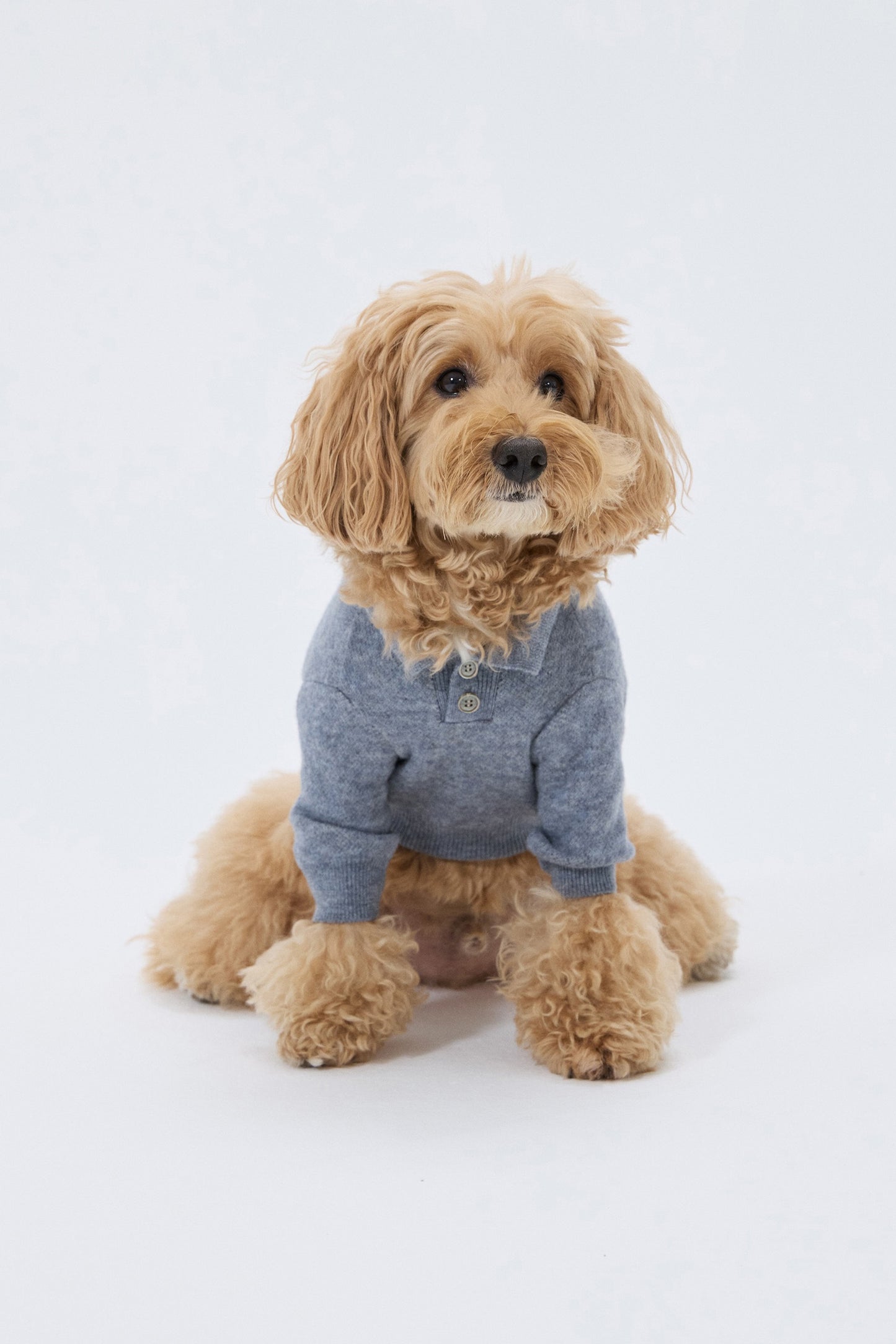 PET ARGYLE JACQUARD KNIT GRAY