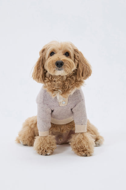 PET ARGYLE JACQUARD KNIT BEIGE