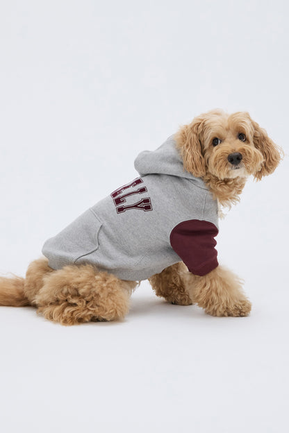 PET LONELY/LOVELY HOODIE GRAY