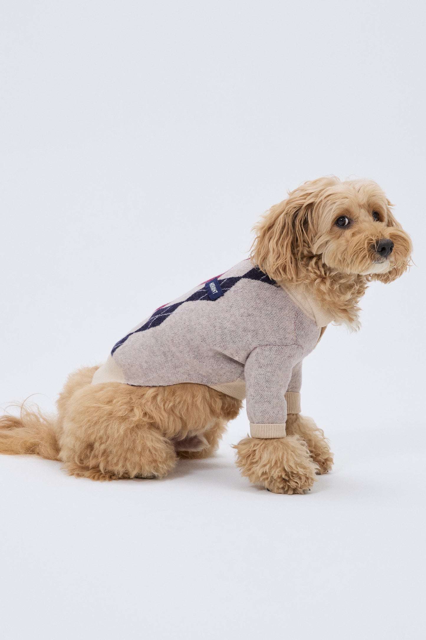 PET ARGYLE JACQUARD KNIT BEIGE