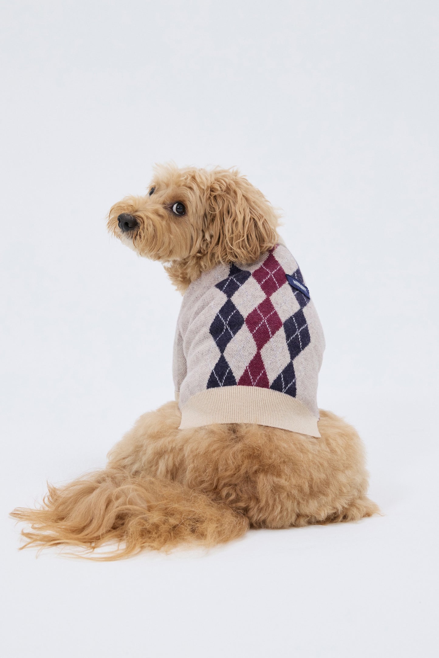 PET ARGYLE JACQUARD KNIT BEIGE