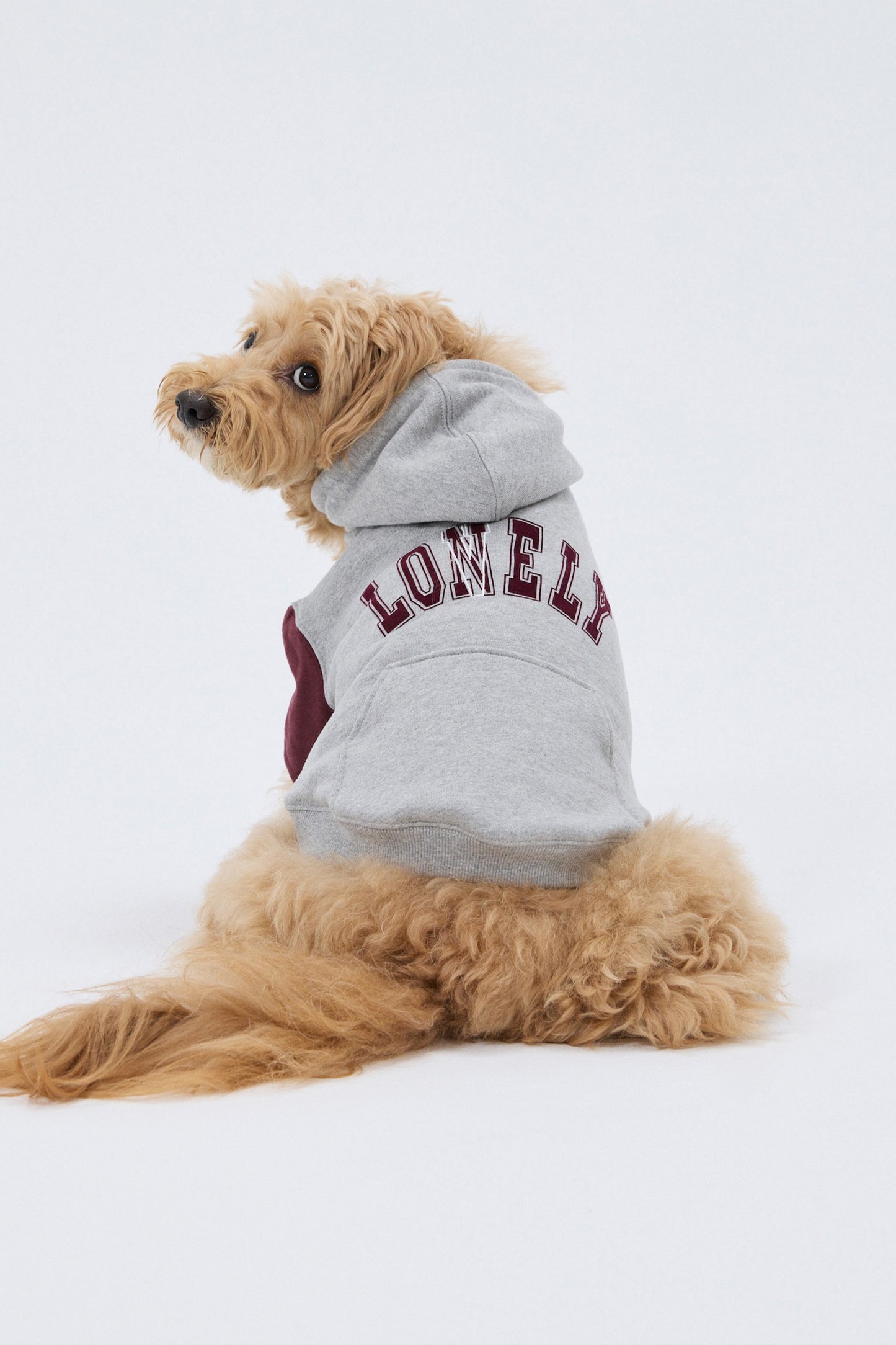 PET LONELY/LOVELY HOODIE GRAY