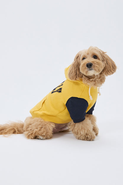 PET LONELY/LOVELY HOODIE YELLOW