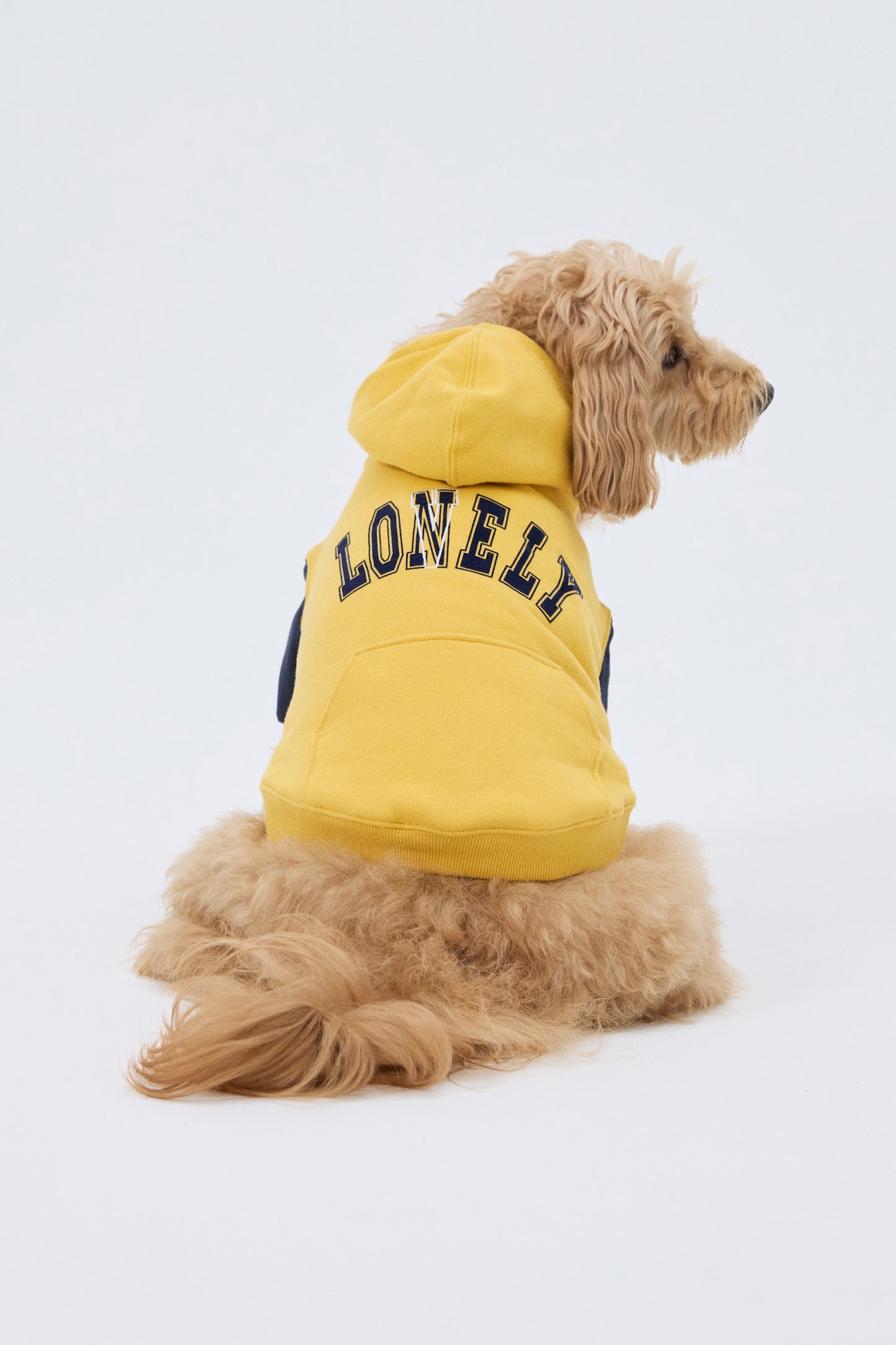 PET LONELY/LOVELY HOODIE YELLOW