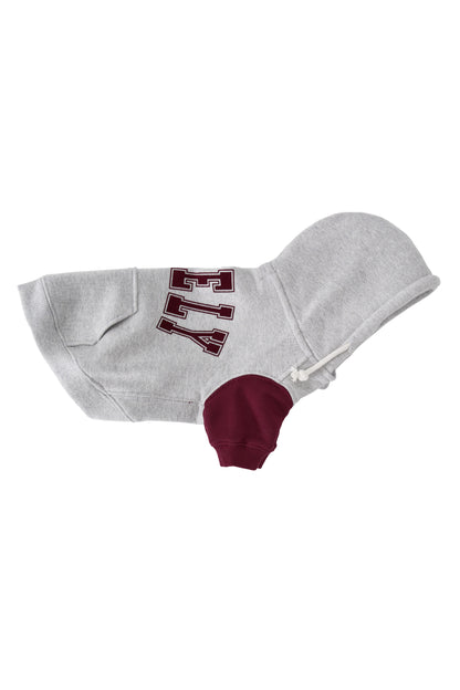 PET LONELY/LOVELY HOODIE GRAY